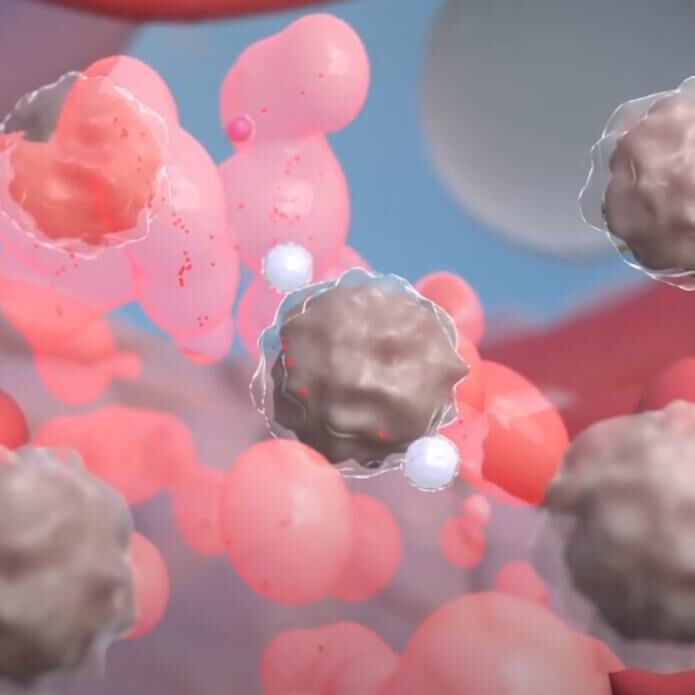 Angiogenesis Angiogenesis