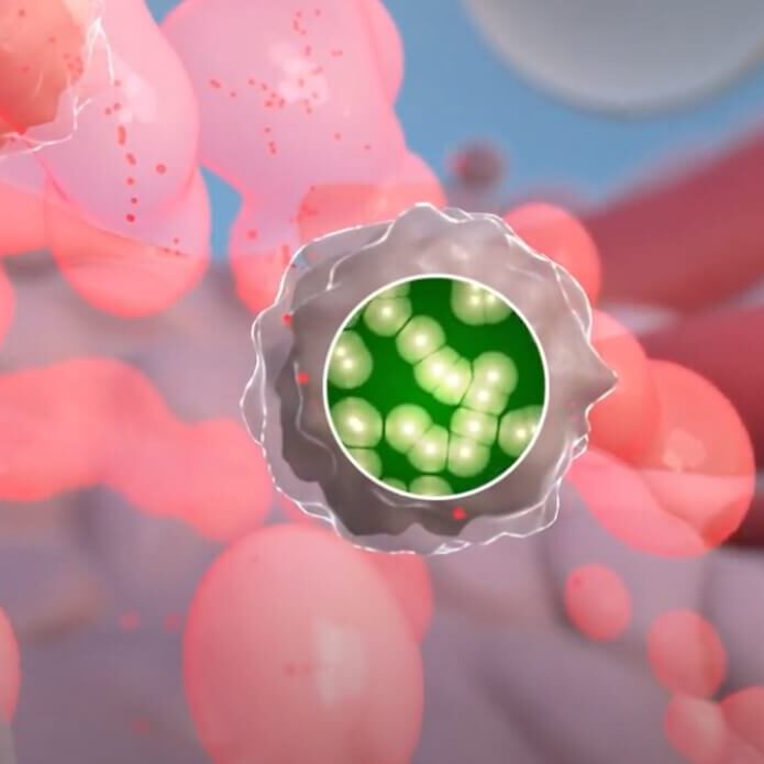 Production of Proteins Production of Proteins